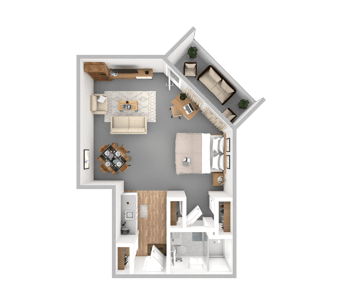 DSL_PSL_VRIO_Suite_Cholla_325-477sqft_WEB