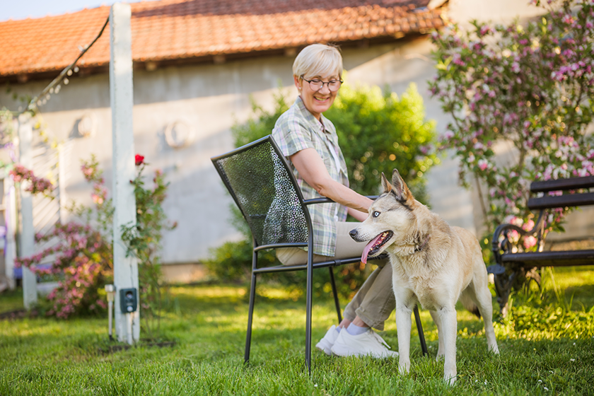Happy senior woman and her husky dog enjoy