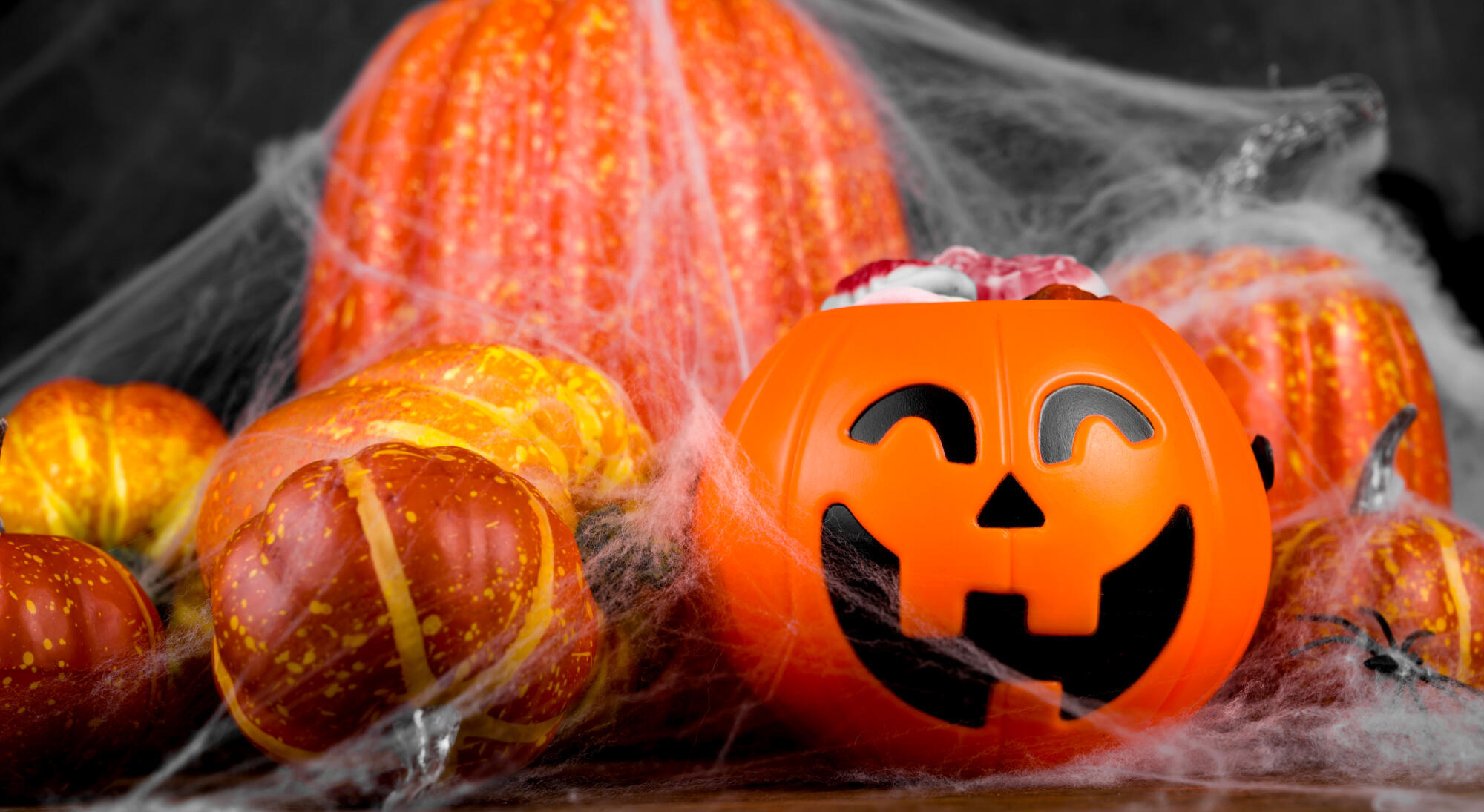 Fun Halloween Activities for Seniors and Grandkids in Peoria